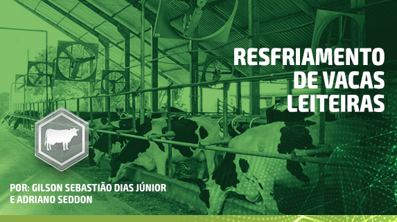 Resfriamento de vacas leiteiras - 3 - plataforma de vídeos do agronegócio - Agroflix